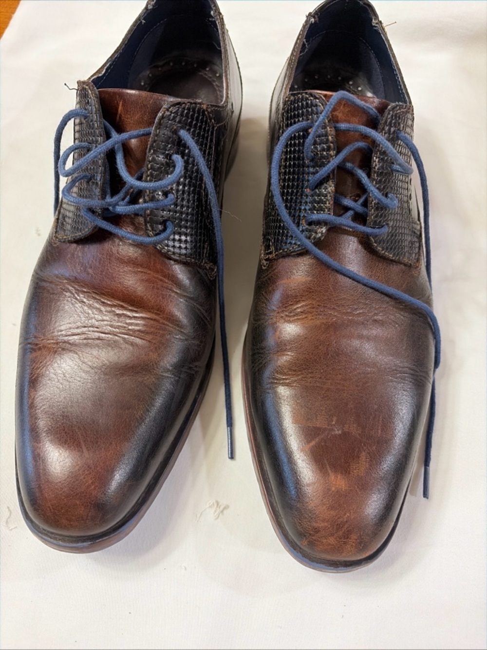 Stacy Adams Brown Leather Oxfords with Blue Laces